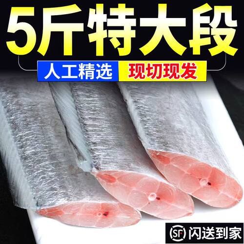 带鱼段中段新鲜冷冻特大号