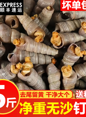 钉螺鲜活去尾留黄大号锥螺无沙新鲜海螺丝捞汁小海鲜麻辣包邮商用