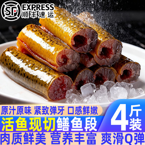 正宗鲜冻黄鳝段大条黄鳝段