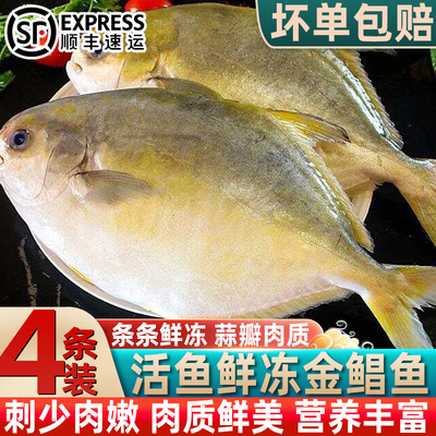 新鲜金鲳鱼特大深海海鲜