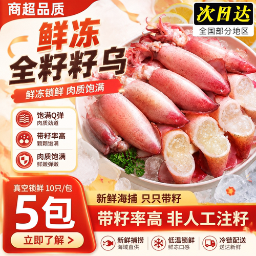 带籽满籽新鲜鱿鱼批发