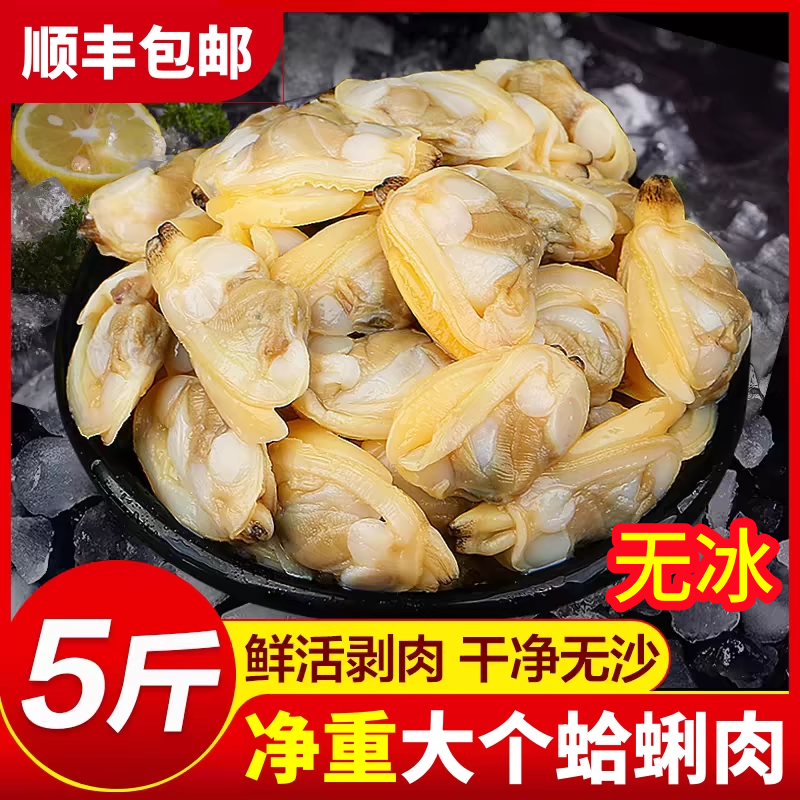 新鲜蛤蜊肉鲜活花蛤花甲肉黄蚬子肉冷冻大花甲海鲜水产非干活即食