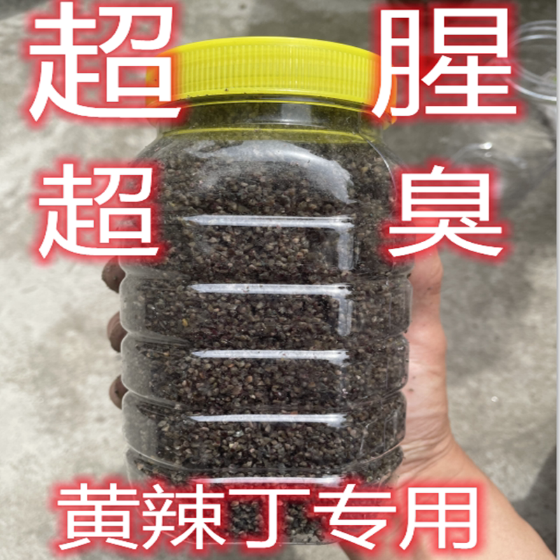 黄辣丁窝料野钓昂刺鱼黄骨鱼黄桑活饵/谷麦饵等饵料