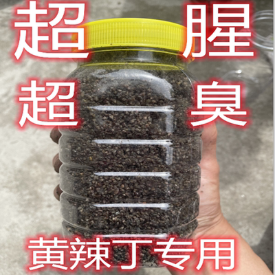 黄辣丁窝料野钓昂刺鱼黄骨鱼黄桑鱼黄颡昂刺打窝料小药颗粒夜钓鳝