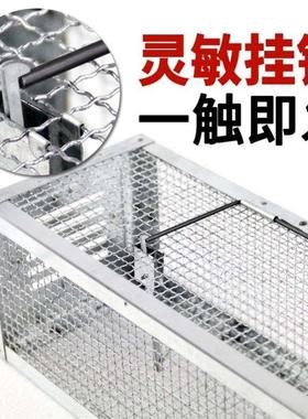 the weasel high sensitivity clp mouse trap rat trap trap c