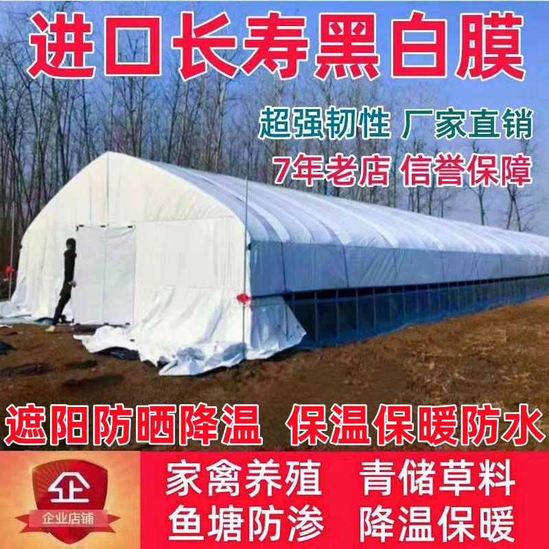 进口黑白膜加厚PO膜养殖种植保温绿白膜降温反光鱼塘防渗无滴棚膜,农机/农具/农膜,农用薄膜,淘宝优惠券,粉丝福利购,淘宝优惠卷
