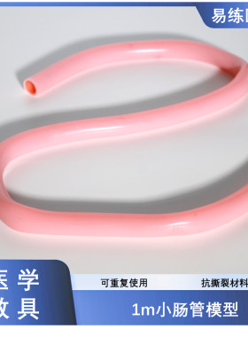 腹腔镜训练小肠管肠肠吻合缝合模型医学教学教具带肠系膜