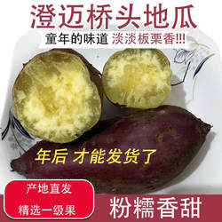 产地直销正宗海南澄迈富硒桥头地瓜原产地新鲜板栗红薯沙地包邮