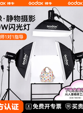 Godox 神牛E250 摄影闪光灯SK400ii 二代专业室内摄影棚灯小先锋250W证件照打光SK300静物产品拍照400W补光灯