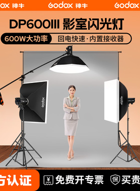 神牛影室灯DP600III三代/四代摄影闪光灯400/600w拍照拍摄800W 1000W室内影棚摄影灯人像静物拍摄三灯套装