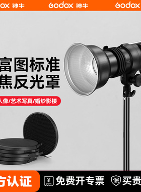 保富图标准罩Profoto Zoom D1 D2 B1X 变焦反光罩可配蜂巢网 摄影