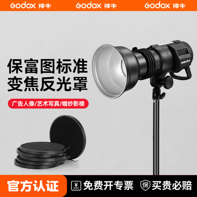 保富图标准罩Profoto Zoom D1 D2 B1X 变焦反光罩可配蜂巢网 摄影