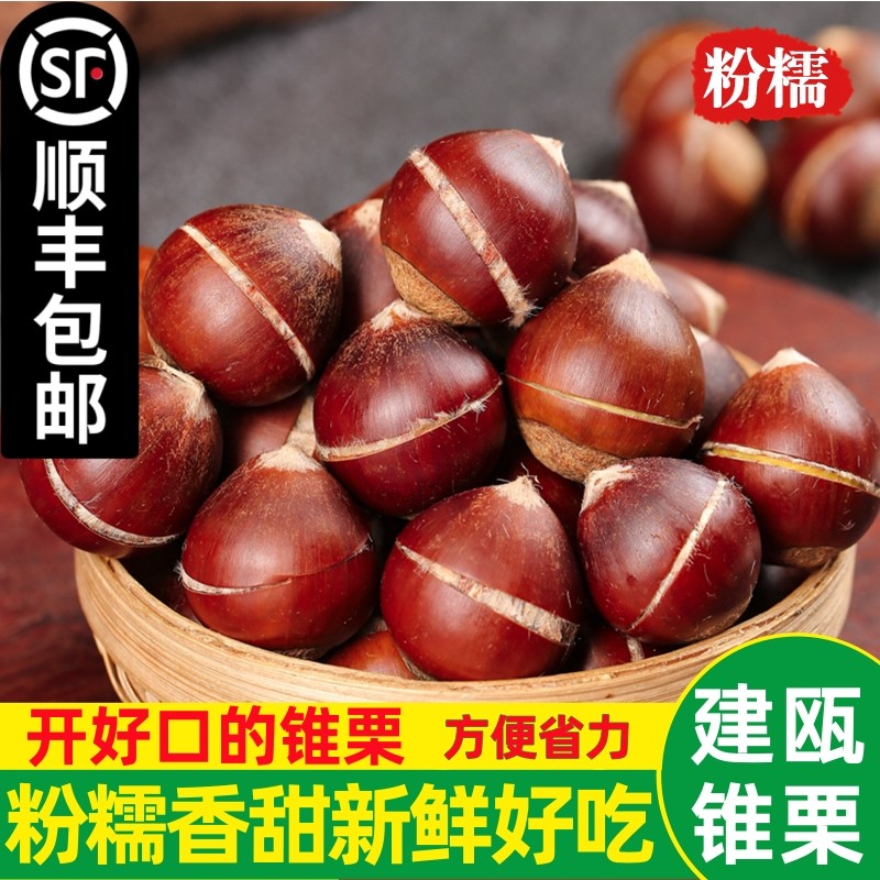开好口的锥栗2025年建瓯高山锥栗生新鲜圆板栗油栗毛栗子顺丰包邮