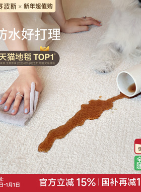 赛波斯防水防污地毯白月光法式轻奢高级感素色简约奶油风客厅卧室