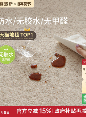 赛波斯素色防水无胶地毯沙丘简约轻奢高级中古抗污防猫抓客厅卧室