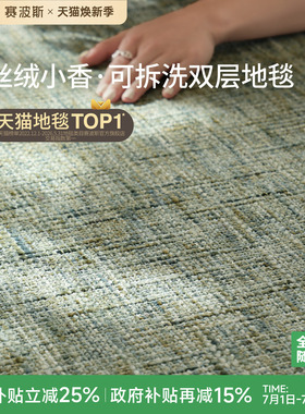 赛波斯丝绒小香系列双层地毯绿色可拆洗客厅沙发可机洗2026新款
