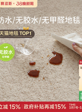 赛波斯沙丘无胶地毯客厅免洗可擦防水素色极简轻奢高级中古风沙发