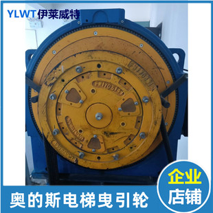 天津藍(lán)光奧 斯電梯曳引輪沈陽DAA20220B4主機(jī)輪400 10反繩