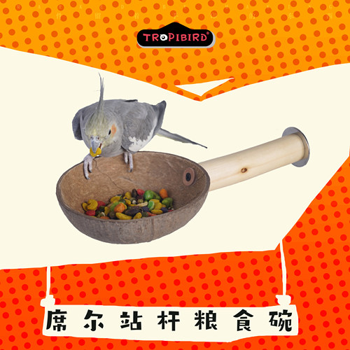 TROPIBIRD鹦鹉原木食碗零食碗