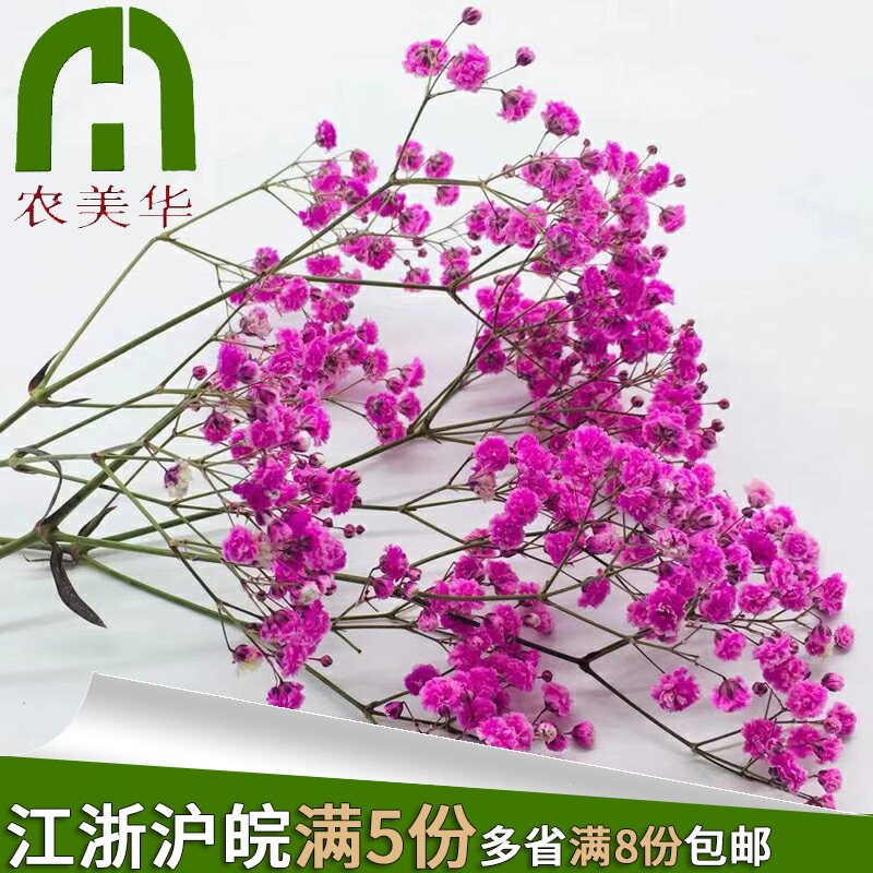 [Nong Mei Hua]fresh Gypsophila hotel Wobble Decorative flowers Wobble Flowers fresh 10gin the Aquatic meat/Fresh fruits and vegetables/Cooked , Fresh vegetables/Vegetable products , Fresh vegetables , Edible Rose category - from Buy2taobao.com to provide professional Taobao agent buy service