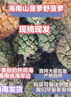 海南现摘新鲜勒古子天然露兜果山菠萝野菠萝凉茶滴血莲花清热除湿