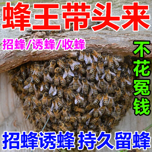 【三秒来蜂】诱蜂膏招蜂水神器