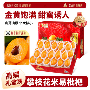 顺丰礼盒正宗四川米易枇杷5斤特级攀枝花新鲜现摘大琵琶当季水果