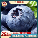 云南蓝莓鲜果特大礼盒高山新鲜水果整箱礼盒应季 5斤一颗蓝梅超
