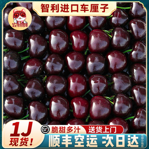 1j 桑提娜现货智利进口车厘子特大5斤3j新鲜孕妇樱桃水果桑缇娜