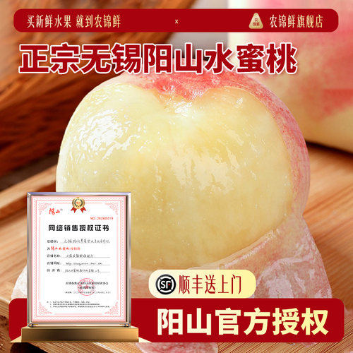 正宗无锡阳山水蜜桃现摘现发