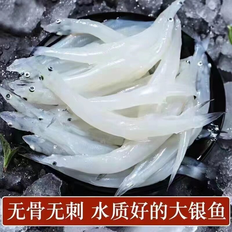 特产冰鲜小银鱼湖鲜新鲜商用淡水活冷冻孕妇顺丰宝宝辅食顺丰包邮