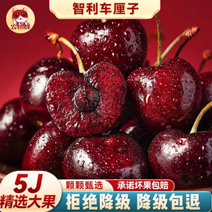 【5j礼盒】智利进口车厘子原箱整箱5斤新鲜包邮大樱桃水果旗舰店3