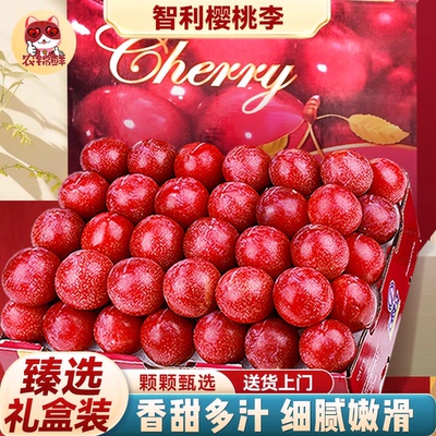 智利樱桃李5斤新鲜珠宝李应当季水果进口李子西梅恐龙蛋大果整箱3