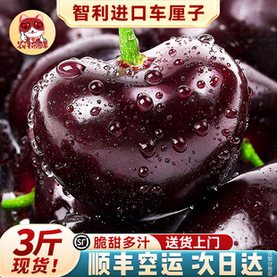 3斤 现货拉宾斯智利进口车厘子特大4j5新鲜孕妇樱桃水果桑提娜