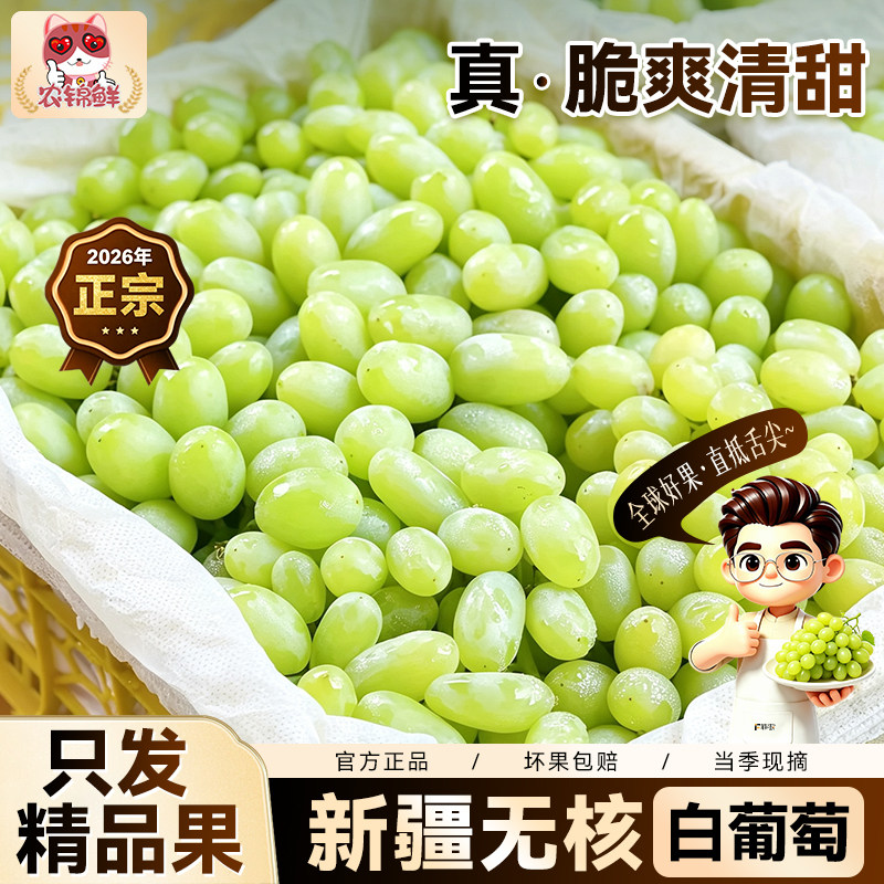 新疆吐鲁番无核白葡萄