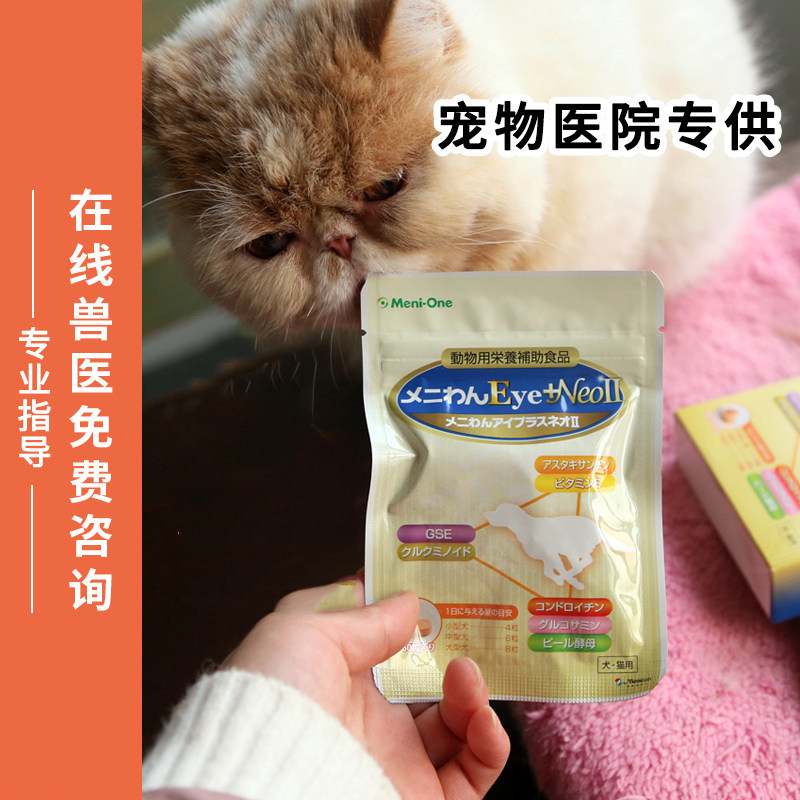 日本美尼旺menione角膜猫狗