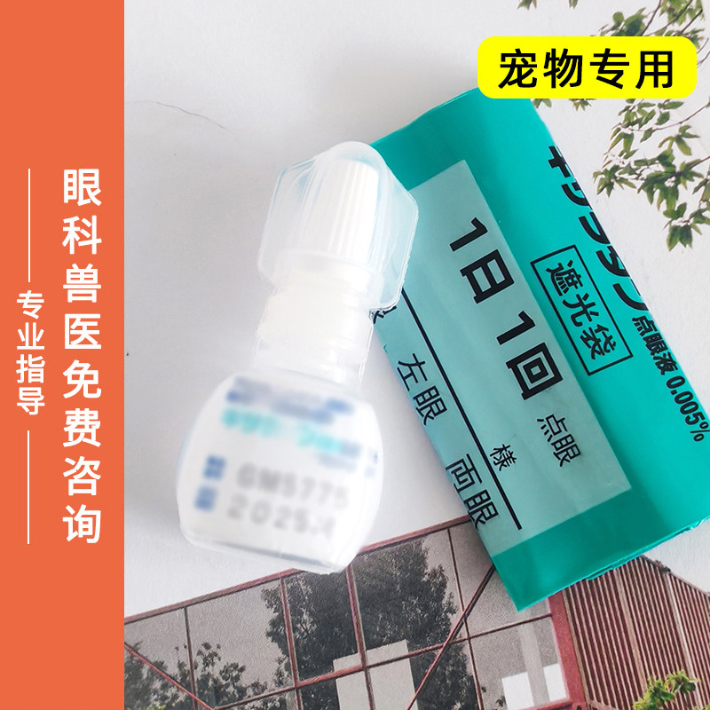 滴眼液宠物猫狗青光高眼压降眼压点眼液2.5ml通用