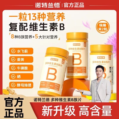 诺特兰德多种维生素b族咀嚼片
