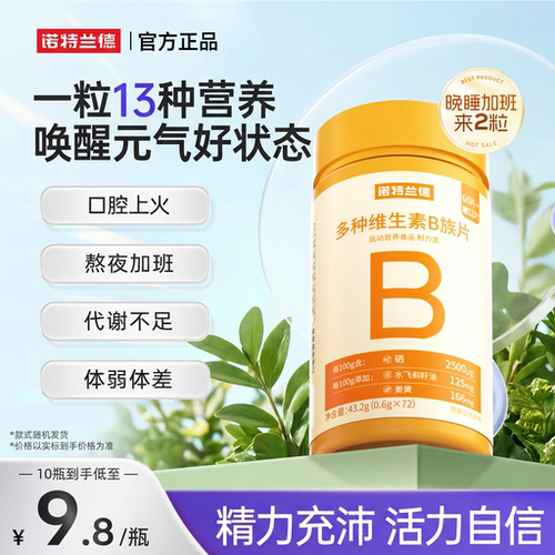 诺特兰德多种维生素b族咀嚼片