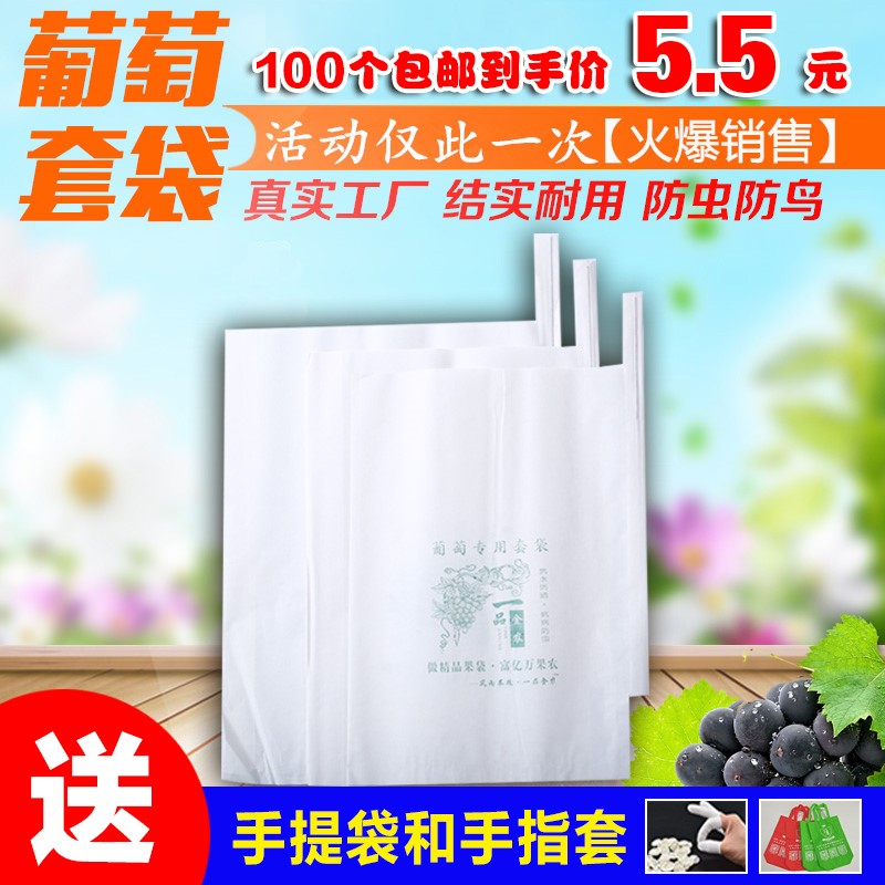 葡萄袋子葡萄专用套袋葡萄套袋果袋纸袋水果套袋阳光玫瑰专用套袋|ruв категории доставка цветов/цветок моделирования/растения садоводства, садовых принадлежностей, других садовых принадлежностей - от Buy2taobao.com для оказания профессиональной услуги покупки агента Taobao