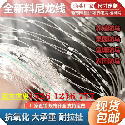 果园防鸟网尼龙樱桃葡萄果树拦鸟用的网鱼塘天网大棚防护网养殖网