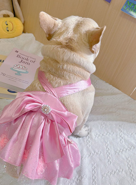 宠物衣服法斗小狗狗裙子粉色蝴蝶结短款春夏薄款透气流光纱公主裙