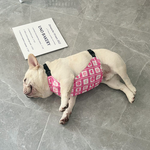 狗狗肚兜衣服法斗防水防脏护肚