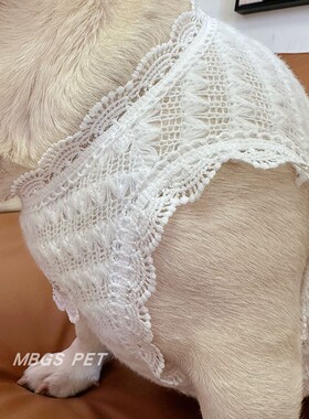 狗狗衣服秋冬公主风镂空针织衫薄款法斗比熊泰迪小型犬装可爱花边