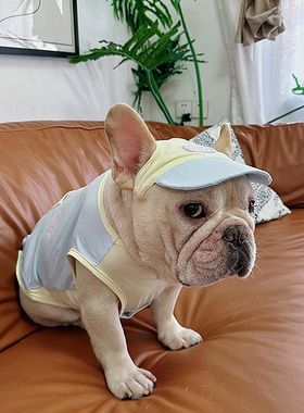 法斗衣服夏季背心降温胖狗巴哥斗牛犬网眼透气款冰丝凉感降温衣服