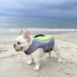 狗狗游泳衣服救生衣柯基法斗泰迪金毛大中小型犬宠物玩水专用夏装