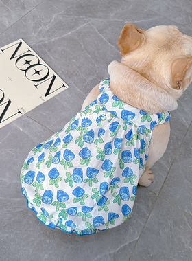 法斗衣服夏季薄款小裙子狗狗背心棉南瓜裙西高地斗牛犬胖狗巴哥犬
