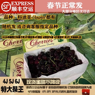 新西兰亚尼士车厘子5j3j4j科迪亚车厘子空运原箱进口小绿盒picnic