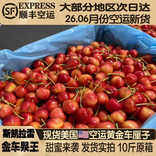 美国空运斯凯拉雷黄金车厘子脆甜
