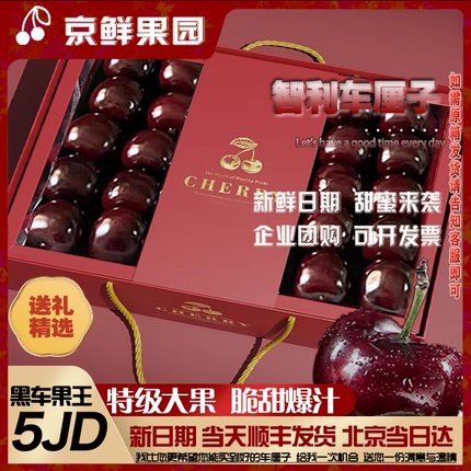 现货新鲜智利车厘子顺丰当天发